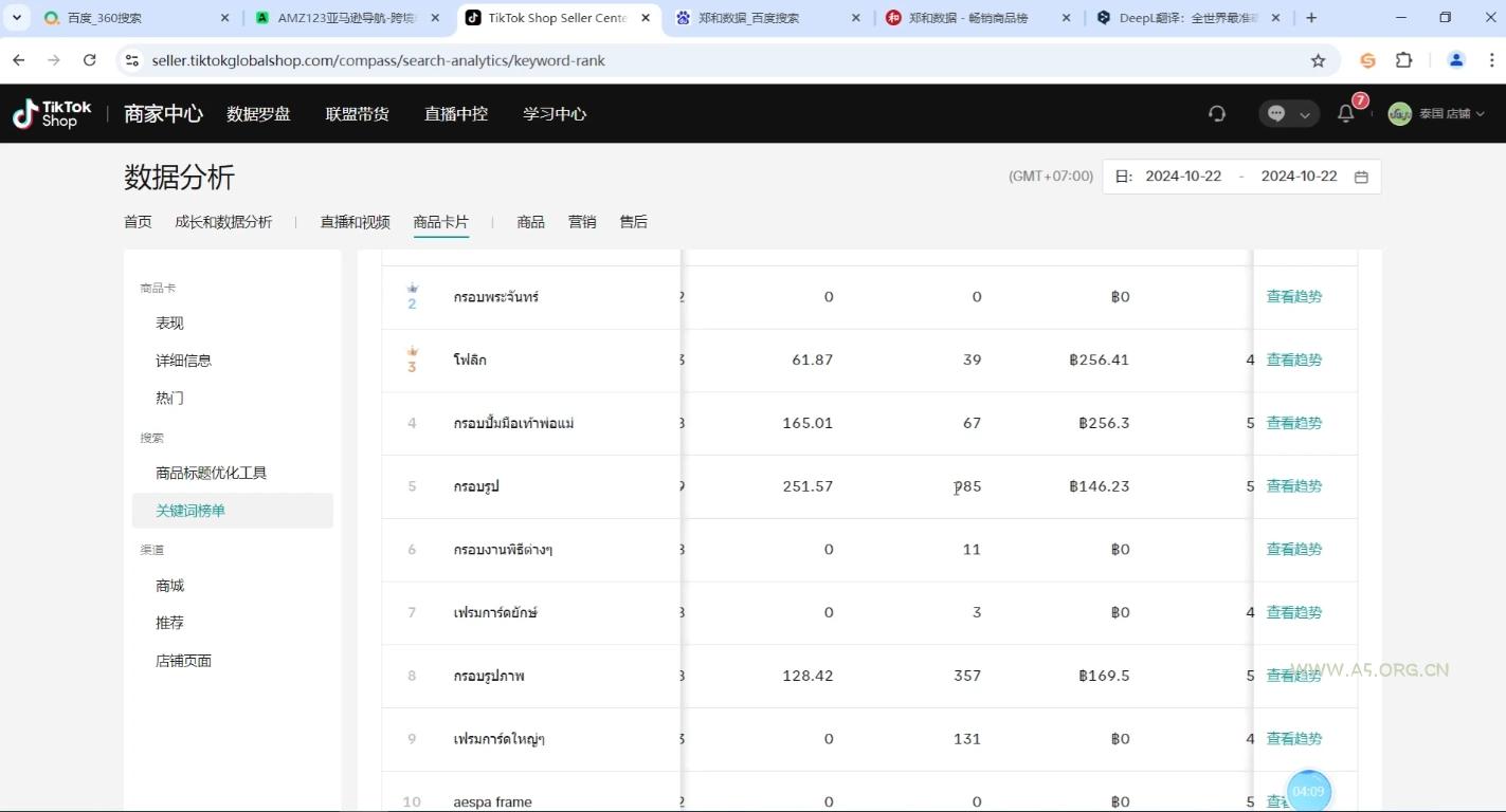 大鱼老师·Tiktok东南亚小店运营-351资源网