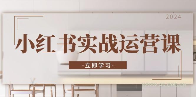 小红书实战运营课：从开通店铺到直播话术，打造爆款笔记与高效直播-351资源网
