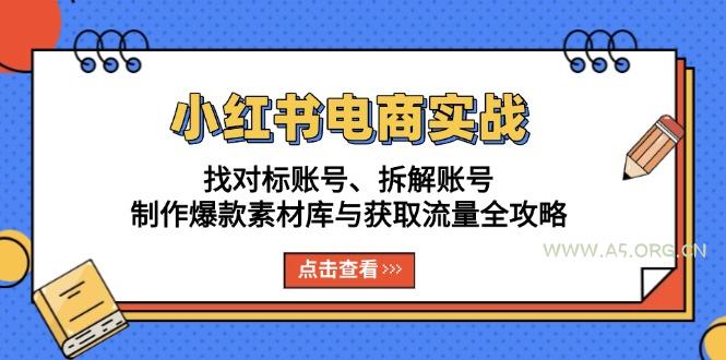 小红书电商实战：找对标账号、拆解账号、制作爆款素材库与获取流量全攻略-351资源网