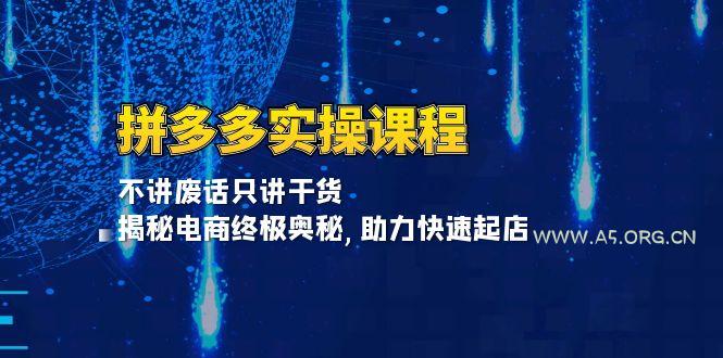 拼多多实操课程：不讲废话只讲干货, 揭秘电商终极奥秘,助力快速起店-351资源网