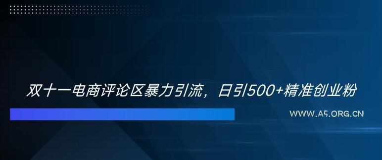 双十一电商评论区暴力引流，日引500+精准创业粉【揭秘】-351资源网