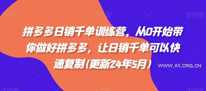 拼多多日销千单训练营，从0开始带你做好拼多多，让日销千单可以快速复制(更新24年10月)-351资源网