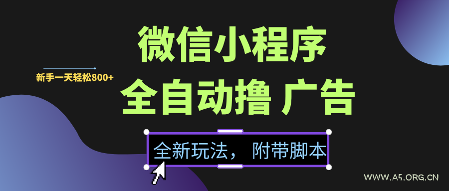 微信小程序挂机撸广告，全新玩法，新手一天轻松800+【附带脚本】-351资源网