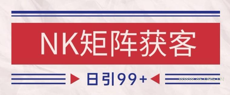 小红书某音NK赛道引流获客 自热矩阵日引200+【揭秘】-351资源网