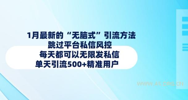 1月最新的无脑式引流方法,跳过平台私信风控,每天都可以无限发私信,单天引流500+精准用户-351资源网