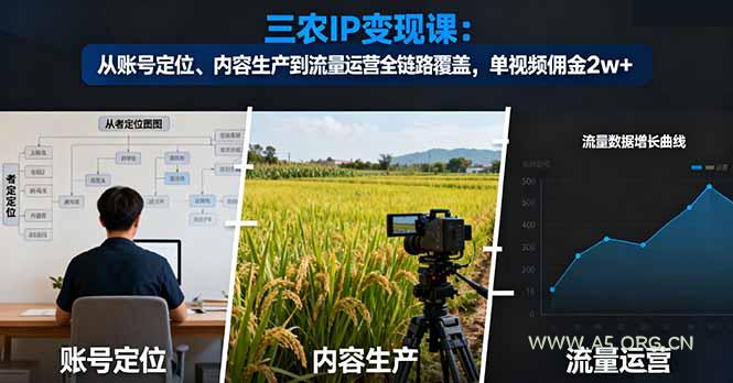 三农IP变现课：从账号定位、内容生产到流量运营全链路覆盖，单视频佣金2w+-351资源网
