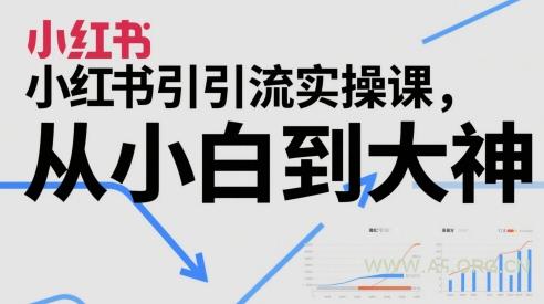 小红书引流实操课，从小白到大神-351资源网