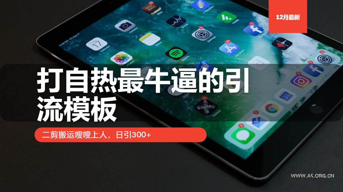 打自热最牛逼的引流模板，二剪搬运嗖嗖上人，日引300+-351资源网