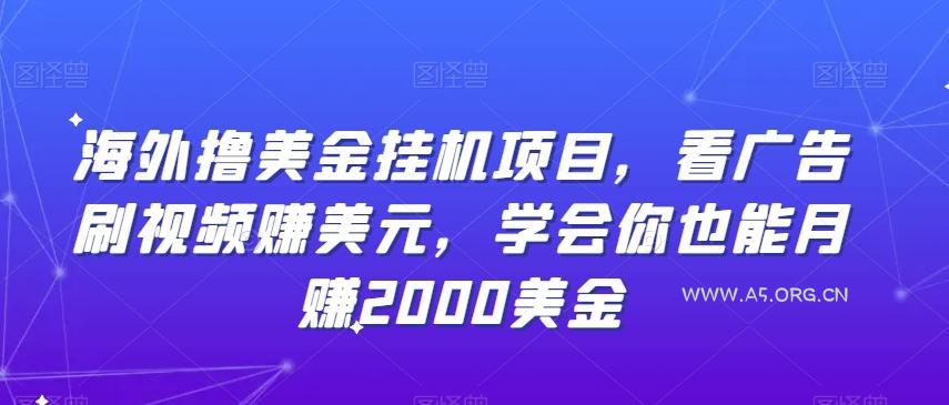 海外撸美金挂机项目,看广告刷视频赚美元,学会你也能月赚2000美金-351资源网
