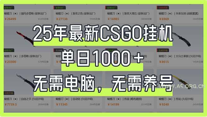25年最新CSGO挂机系统，单日1000+，无需电脑，无需养号，0基础可上手-351资源网