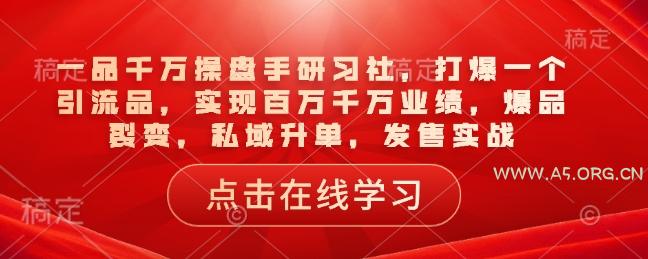 一品千万操盘手研习社，打爆一个引流品，实现百万千万业绩，爆品裂变，私域升单，发售实战-351资源网