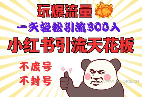 小红书引流天花板，玩爆流量，一天轻松引流300人，安全操作-351资源网