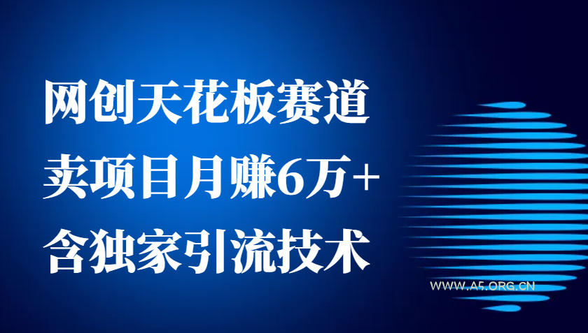 网创天花板赛道，卖项目月赚6万+，含独家引流技术(共26节课)-351资源网