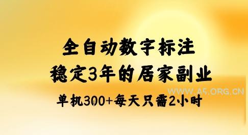 全自动数字标注，稳定3年的蓝海项目，居家也能矩阵开干的副业，单机日入3张+【揭秘】-351资源网