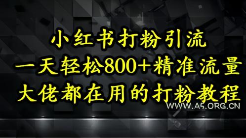 小红书打粉引流，一天轻松500+精准流量，大佬都在用的打粉教程-351资源网