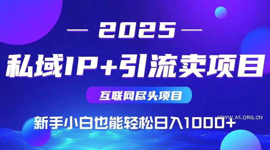 私域IP+卖项目，普通人小白也能轻松实现日入1000+-351资源网