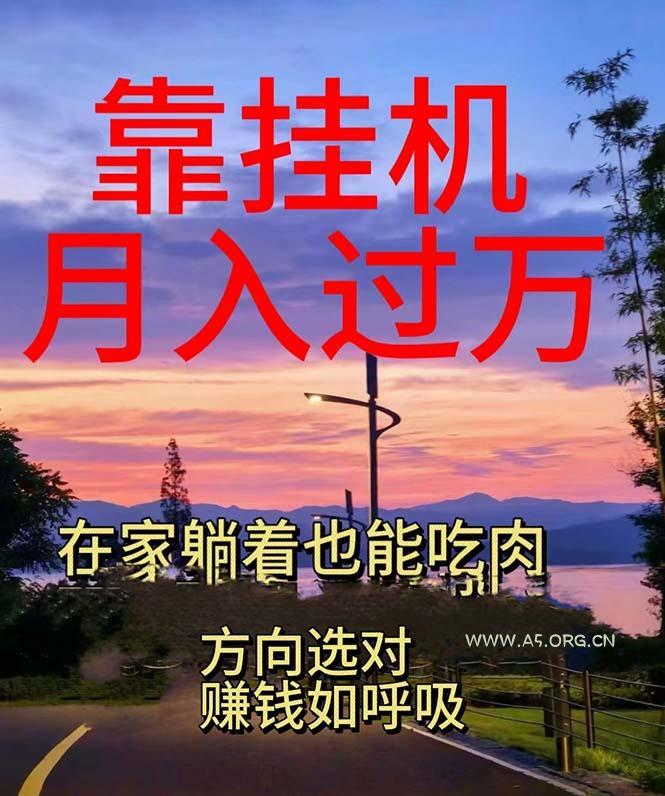 靠挂机，日入1000+，躺着也能吃肉，电脑手机都可挂-351资源网