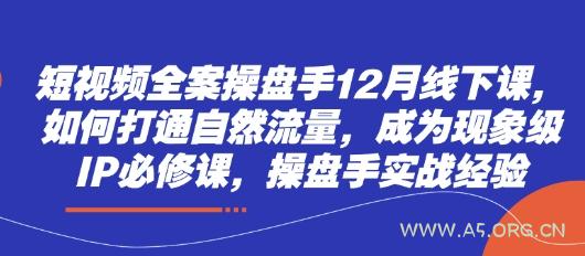 短视频全案操盘手12月线下课，如何打通自然流量，成为现象级IP必修课，操盘手实战经验-351资源网