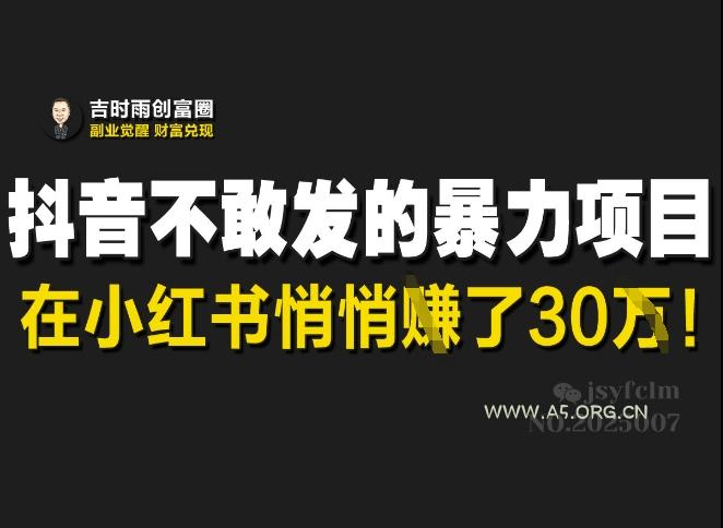 抖音不敢发的暴利项目，在小红书悄悄挣了30W-351资源网