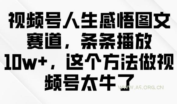 视频号人生感悟图文赛道，条条播放10w+，这个方法做视频号太牛了-351资源网