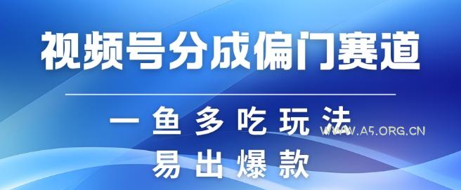 视频号创作者分成计划偏门类目，容易爆流，实拍内容简单易做【揭秘】-351资源网