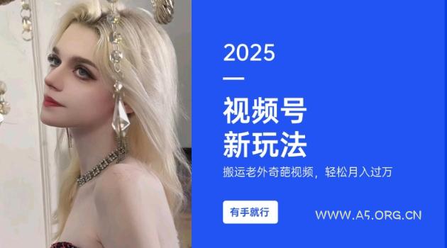 搬运老外奇葩视频，撸视频号分成计划收益，每天只需一小时，新手小白轻松月入过W-351资源网