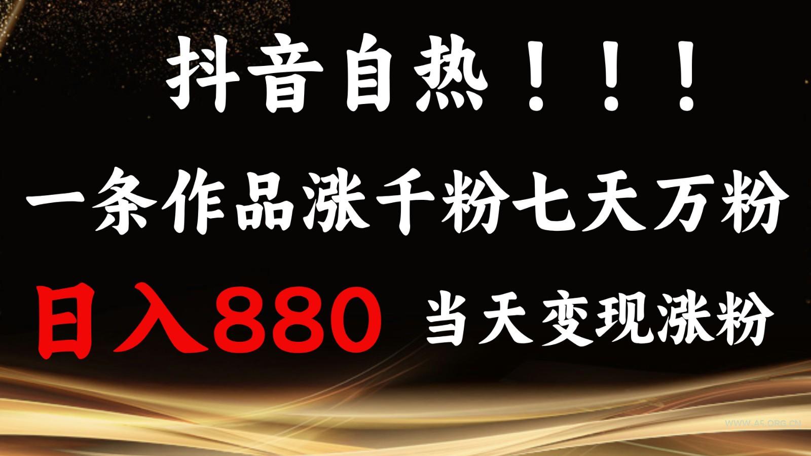 抖音小红书自热，一条作品1000粉，7天万粉，单日变现880收益-351资源网