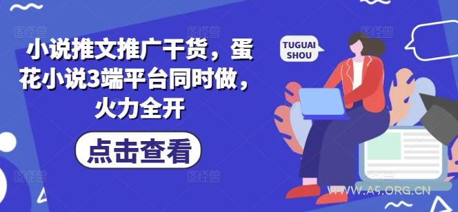小说推文推广干货，蛋花小说3端平台同时做，火力全开-351资源网