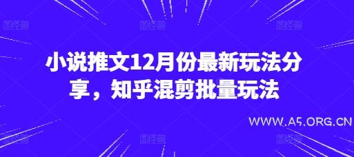 小说推文12月份最新玩法分享，知乎混剪批量玩法-351资源网