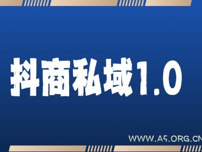 抖商服务私域1.0，抖音引流获客详细教学-351资源网