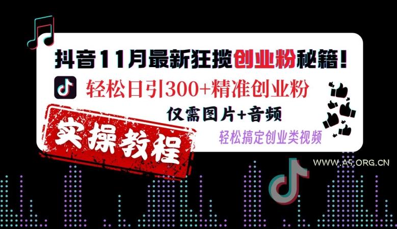 抖音11月最新狂揽创业粉秘籍，轻松日引300+精准创业粉，仅需图片+音频，轻松搞定创业类视频-351资源网