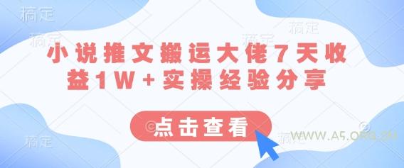 小说推文搬运大佬7天收益1W+实操经验分享-351资源网