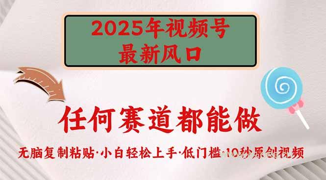 2025年视频号新风口，低门槛只需要无脑执行-351资源网