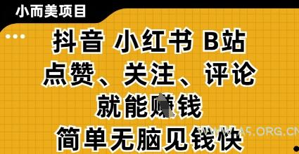 小而美的项目，抖音小红书B站视频点赞、关注、评论就能挣钱，简单无脑立见收益，妥妥的零撸项目【揭秘】-351资源网