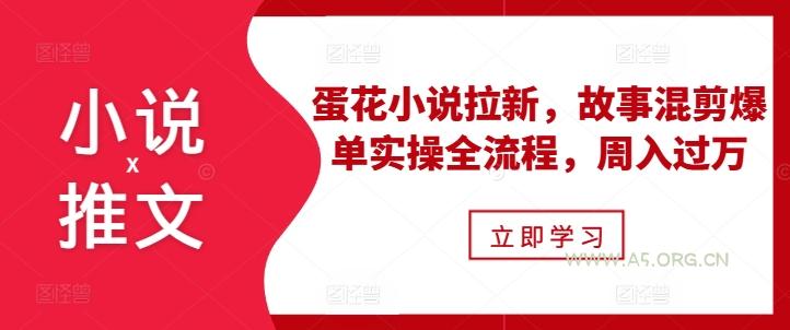 小说推文之蛋花小说拉新，故事混剪爆单实操全流程，周入过万-351资源网