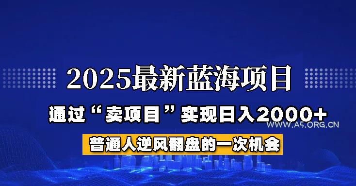 2025年蓝海项目,如何通过“网创项目”日入2000+-351资源网