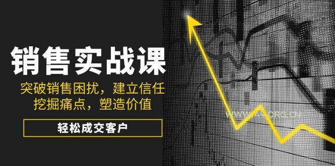 销售实战课，突破销售困扰，建立信任，挖掘痛点，塑造价值，轻松成交客户-351资源网