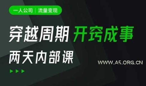 一人公司:流量变现课,一人公司的方法模型拆解, 拆解富人思维,流量思维,小老板思维等-351资源网