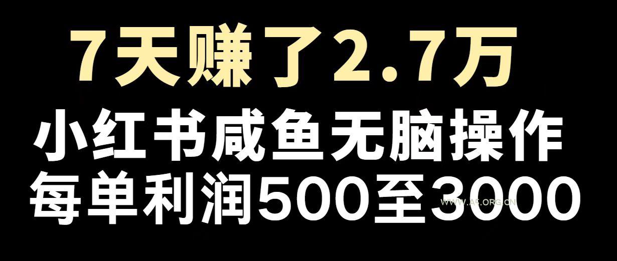 最赚钱项目之一，2025爆火，逆风翻盘！-351资源网