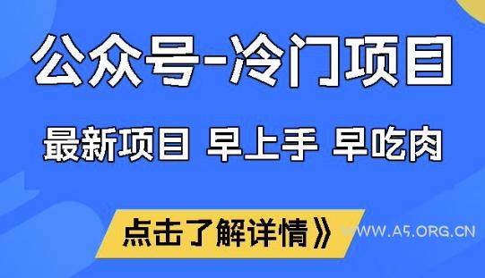 公众号冷门赛道，早上手早吃肉，单月轻松稳定变现1W【揭秘】-351资源网
