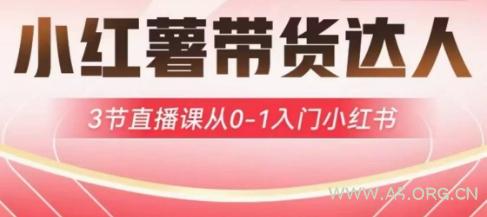 小红薯达人带货启航计划，3节直播课从0-1入门小红书-351资源网