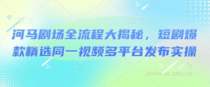 河马剧场全流程大揭秘,短剧爆款精选同一视频多平台发布实操-351资源网
