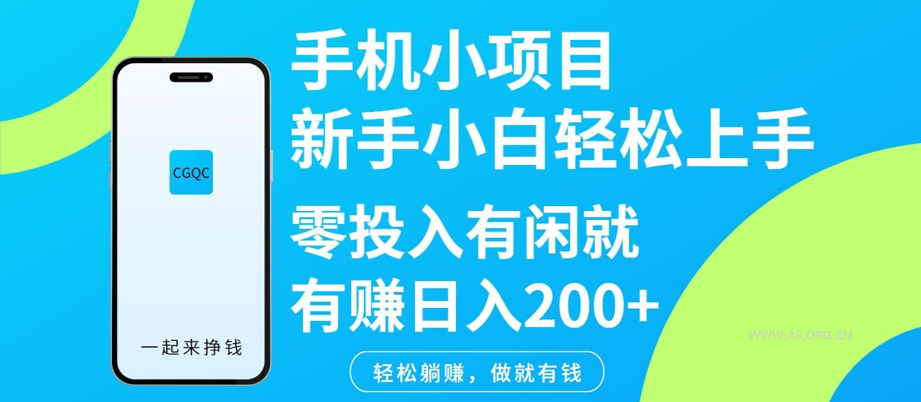 手机小项目新手小白轻松上手零投入有闲就有赚日入200+-351资源网