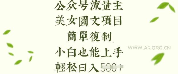 流量主长期收益项目,美女图片简单复制,小白也能上手,轻松日入5张-351资源网