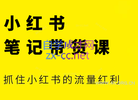 张宾·小红书笔记带货课(更新3月学员分享)-351资源网