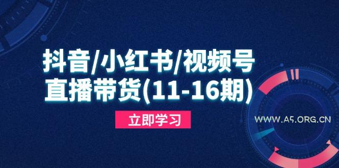 抖音/小红书/视频号/直播带货(11-16期-351资源网