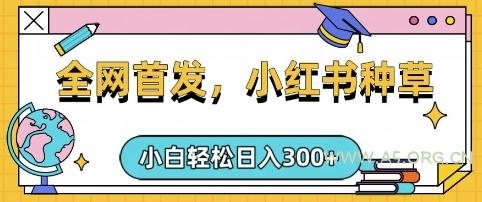 小红书种草,手机项目,日入3张,复制黏贴即可,可矩阵操作,动手不动脑【揭秘】-351资源网