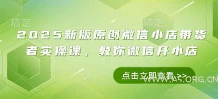 2025新版原创微信小店带货者实操课，教你微信开小店-351资源网