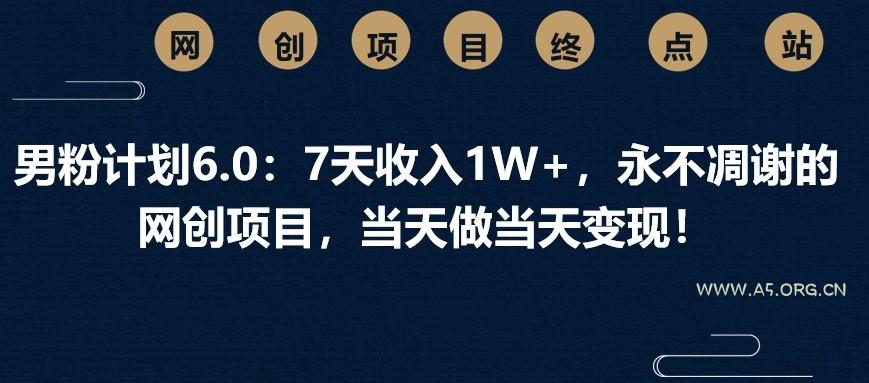 男粉计划6.0:7天收入1W+,永不凋谢的网创项目,当天做当天变现!-351资源网