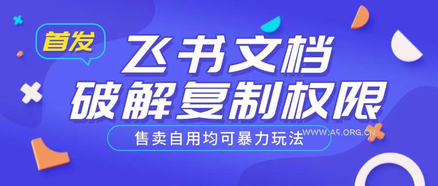 首发飞书文档破解复制权限，售卖自用均可暴力玩法-351资源网